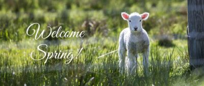 Rural Water District No.6, Garvin County